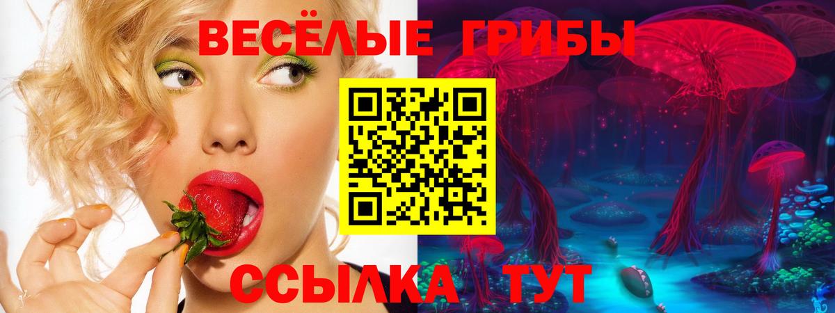 Феодосия  Галлюциногенные грибы мицелий  Вход с VPN 