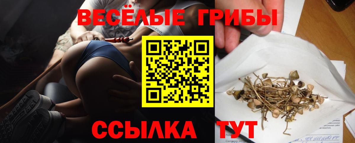 Псилоцибиновые грибы MAGIC MUSHROOMS Феодосия